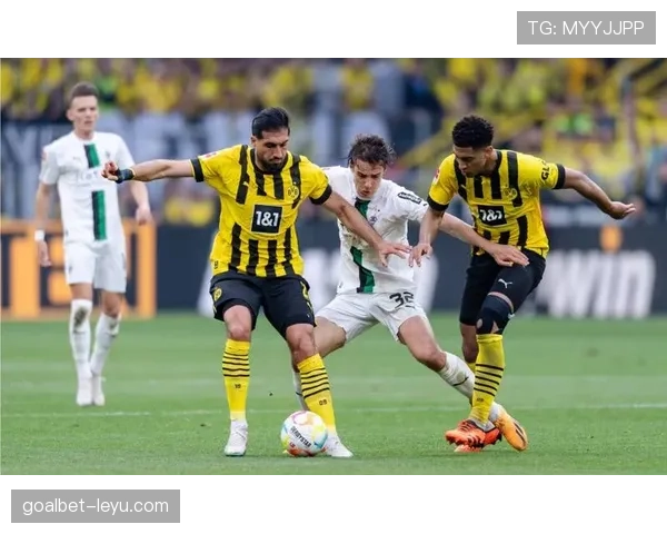 法兰克福新赛季进攻体系解析：战术革新助力球队稳健前行